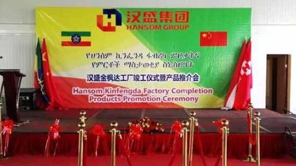 汉盛金枫达管材生产工厂竣工仪式暨产品推介会在埃塞俄比亚东方工业园内成功举办