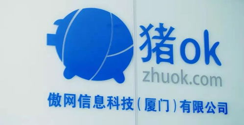 隐形厦门股 有哪些 这六家熟悉的上市企业注册地并非厦门 丨观澜财经