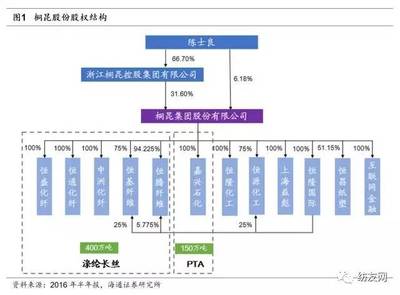 总投资35.08亿,同时启动两个差别化纤维项目建设!桐昆股份:要做百万吨级聚酯工厂“大哥大”!