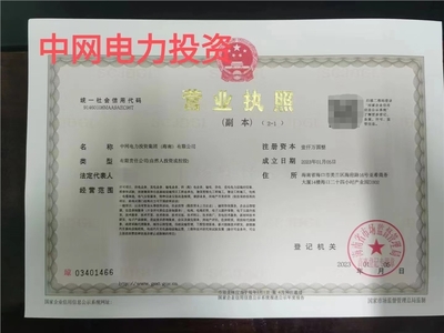 海南投资公司注册中网电力投资集团海南转让