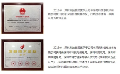 泽林信息科技集团简介