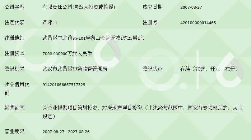 武汉海山投资集团