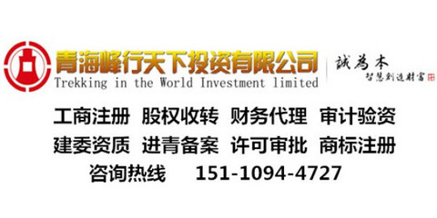 青海成立集团公司的好处和条件