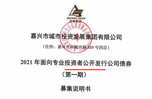 嘉城集团拟发行15亿公司债券 存盈利对政府补助依赖较高风险