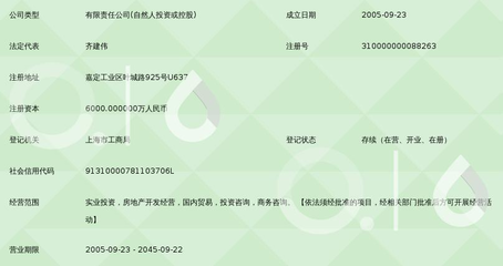 上海巨中投资集团