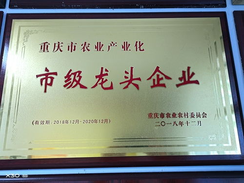 渝米集团投资近1000万元大米智能生产线 已完成地面平整