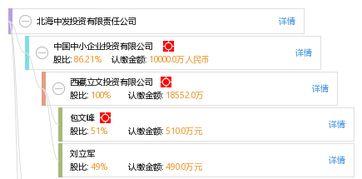 北海中发投资有限责任公司