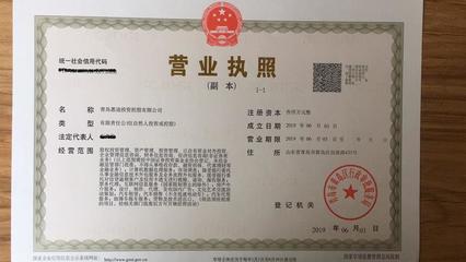 投资控股注册条件,个人开投资公司条件(投资的经营范围都有哪些)