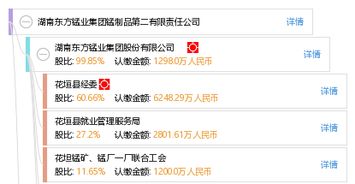 湖南东方锰业集团锰制品第二有限责任公司