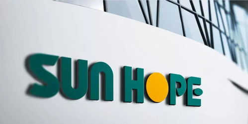 12.2亿美元 强磁场 大闵行又签下6个外资大项目