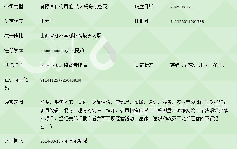 山西凌志能源投资集团