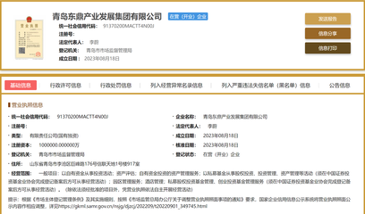 网传“化债”的青岛东鼎集团成立了:注册资本100亿 从事投资活动