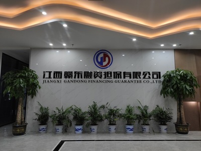 江西赣东地区合伙企业注册流程与融资担保行业准入指南