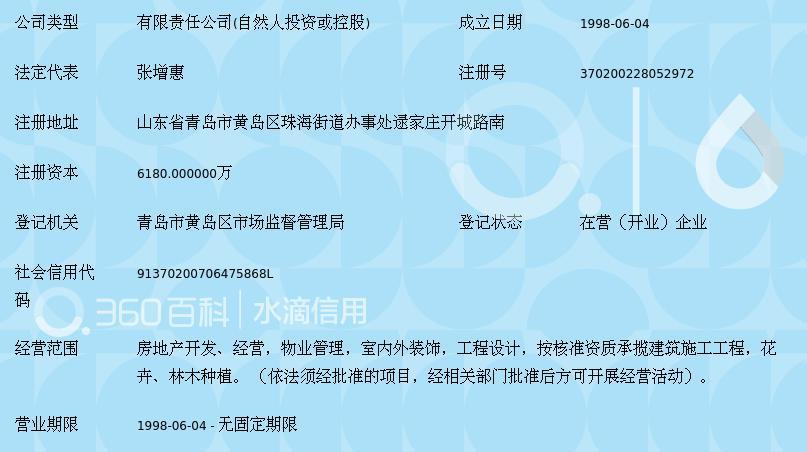 青岛隆海集团股份有限公司注册指南与要点解析