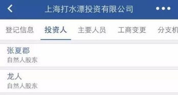 从“打水漂”投资到“韭菜1号” 资管江湖的荒诞现实主义